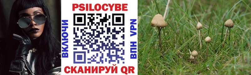 Псилоцибиновые грибы прущие грибы  мега как войти  Железногорск  цена  